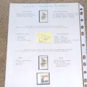 White Throated Sparrow Stamp Themed Scrapbook Page